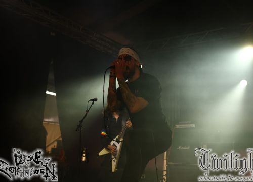 galeriebild