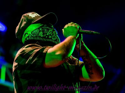 galeriebild