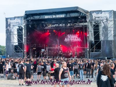 galeriebild