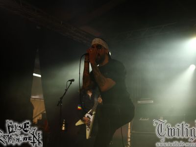 galeriebild
