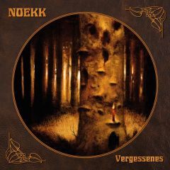 Cover Album des Monats