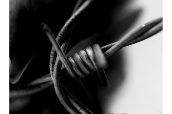 Teaserbild