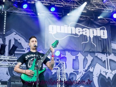 galeriebild