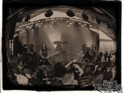galeriebild