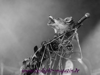 galeriebild