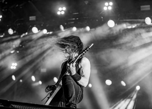 galeriebild