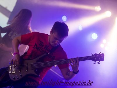galeriebild