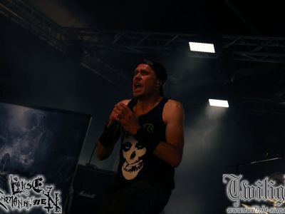 galeriebild