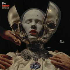 Cover Album des Monats